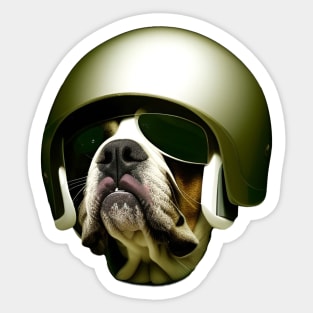 Dog in helmet Sticker